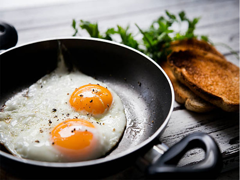 KP The Egg Point Banner